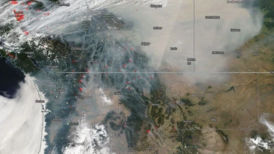 Wildfires and climate change featured image